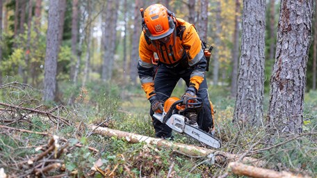 En elev står med varselkläder och kvistar ett träd med motorsåg.