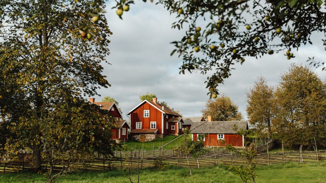 Lantligt småländskt landskap. 