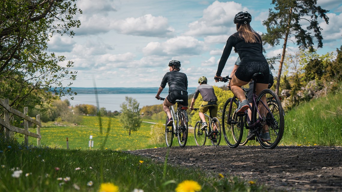 Fyra personer cyklar på en somrig landsväg. 