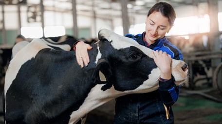 En lantbrukare som står i ett stall med en ko. Hon håller om kon.