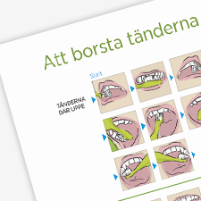 Tandvård för vuxna, att borsta tänderna, Folktandvården i Jönköpings län