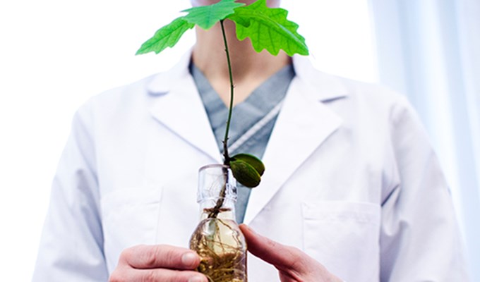 En person som håller en liten planta.