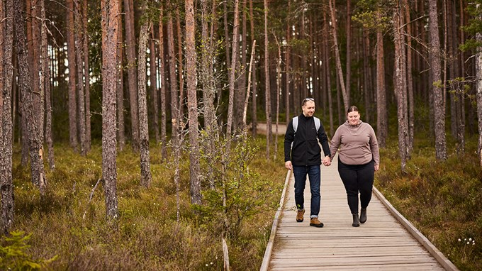Två personer promenerar hand i hand på en träspång genom skogen.