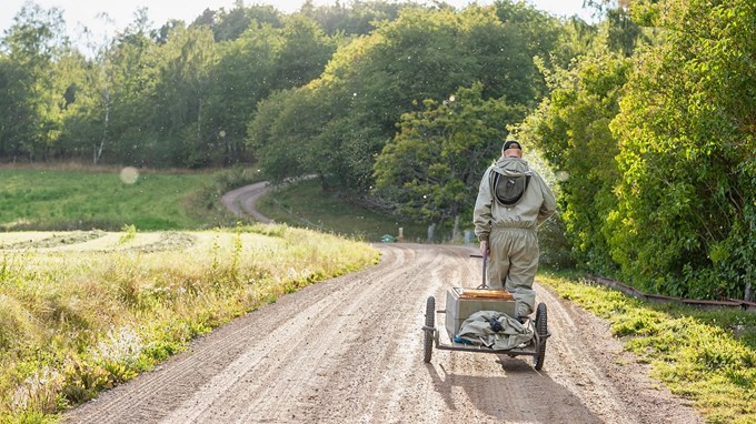 Ryggen av en man som går på grusväg med gröna ängar på sidorna. Mannen drar en kärra med lite packning. 
