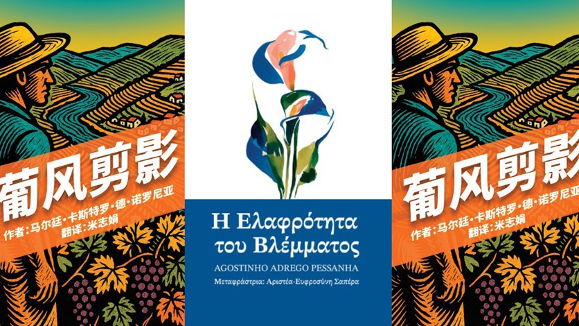 Bokomslag till två böcker.