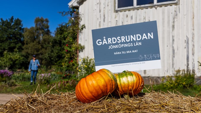 Två stora pumpor framför en skylt som informerar om Gårdsrundan. 