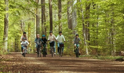 En familj cyklar genom ekskogen på Visingsö. 