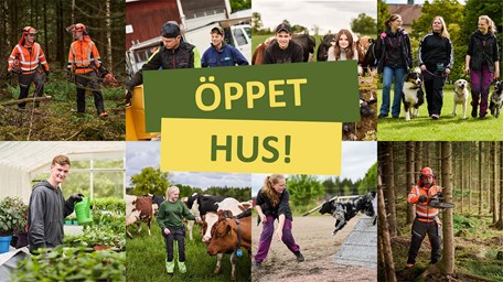 Bilder på elever i olika utbildningssammanhang med texten öppet hus!