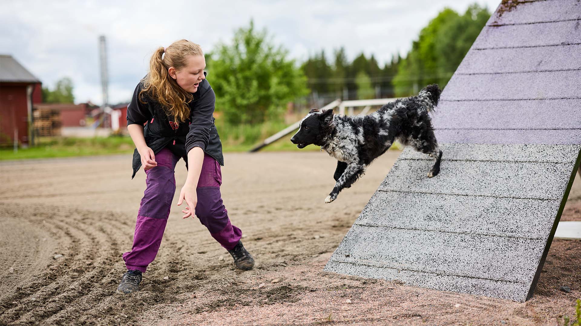 En tjej tränar agility med sin hund utomhus