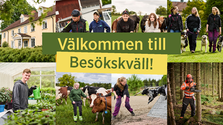Flera bilder på elever i olika miljöer, texten besökskväll står på bilden.