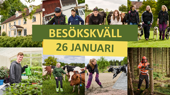 Ett kollage med våra elever under lektioner i skogen, bland maskinerna, med korna och med hundarna. På bilden står texten Besökskväll 26 januari