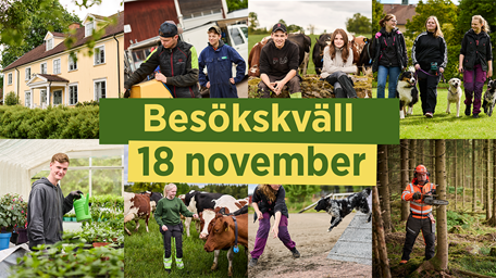 Bildcollage med elever från naturbruksprogrammem. Texten  besökskväll 18 november står på bilden.