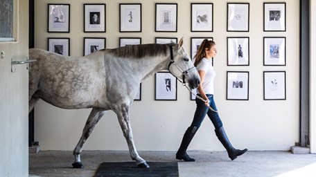 En flicka leder en vit häst i stallgången