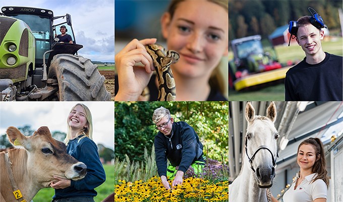 Fotokollage med bilder från miljöer och elever från alla våra inriktningar häst, djurvård, lantbruk, trädgård