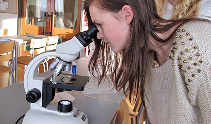 Elev tittar i microskop