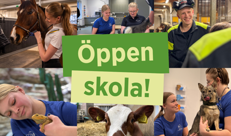 Olika bilder från våra utbildningar med texten "Öppen skola"