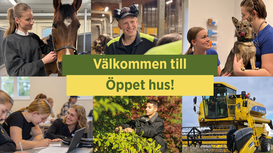 Bildcollage från Tenhultsgymnasiet med texten välkommen till öppet hus!
