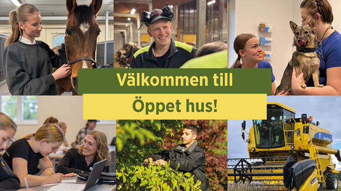 Elever och djur från Tenhults naturbruksgymnasium i ett bildkollage med texten Öppen skola.