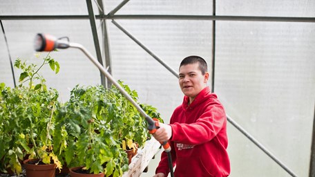 En kille stå och vattnar blommor i växthuset.