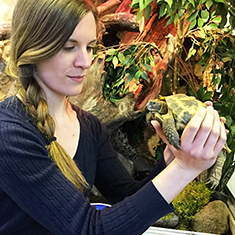 Djurlärare Erica Högström Tagesson håller i en sköldpadda