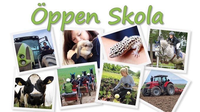 Bildkollage från Tenhults naturbruksgymnasium med elever, djur och maskiner