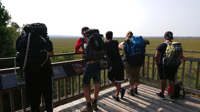 En grupp människor står i ett utsiktstorn och tittar ut över en mosse 