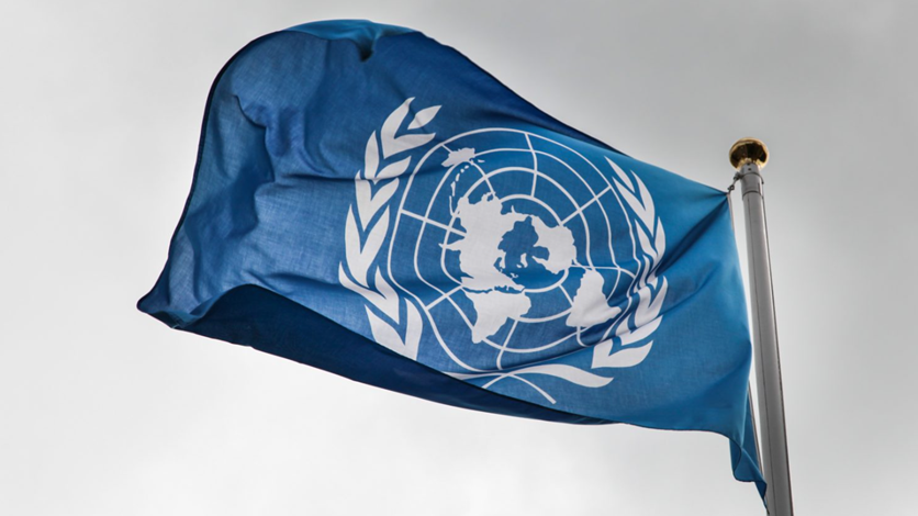 FN-flagga hissad i flaggstång mot en grå himmel