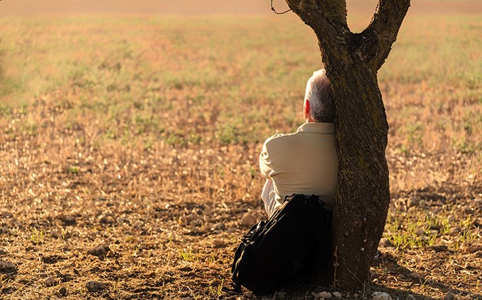 en man sitter ensam lutad mot ett träd