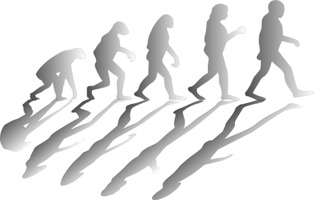 olika människoarter genom evolutionen 